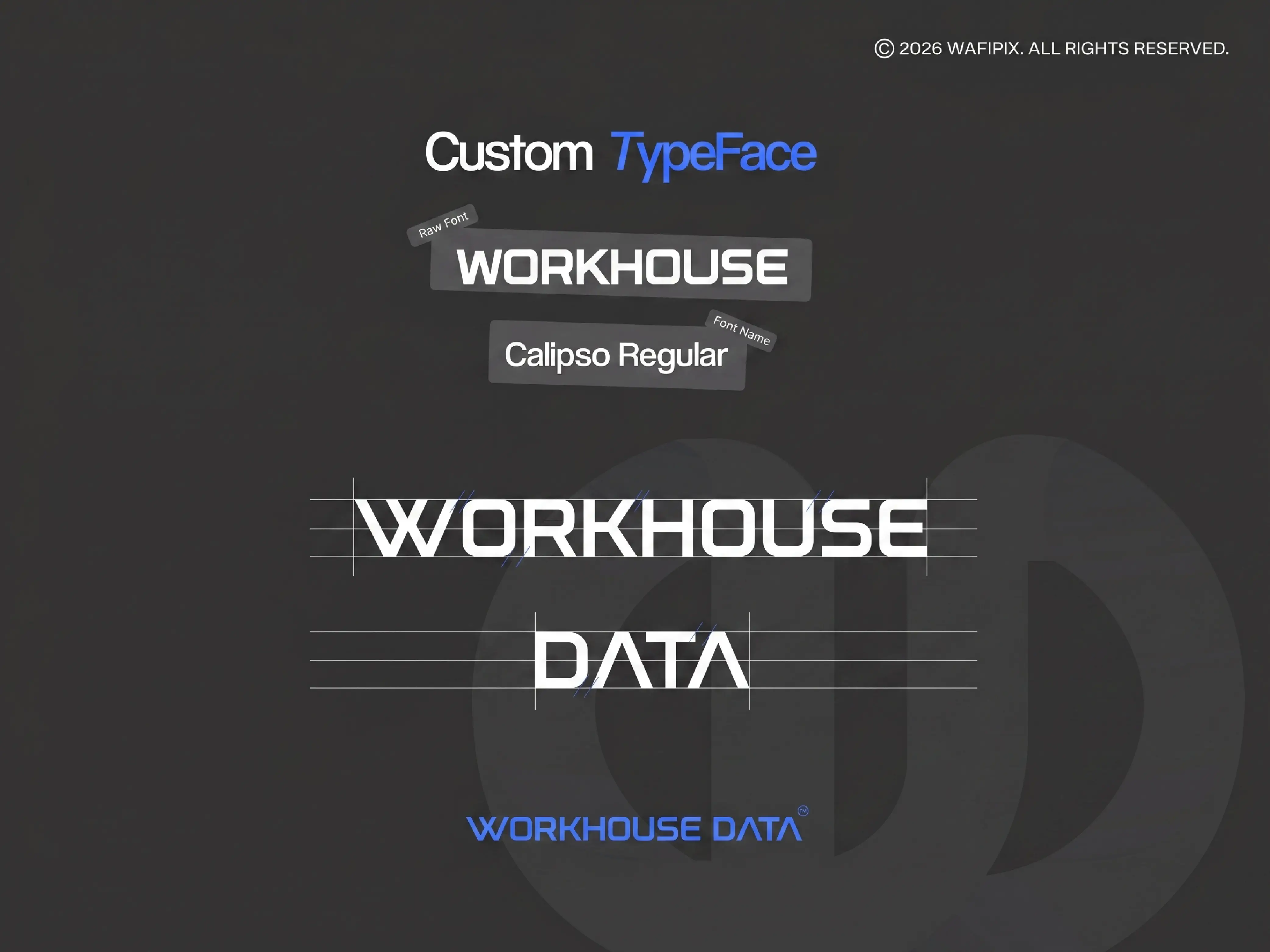 Workhous Data-03